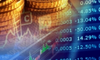 南天信息：2024年净利润1